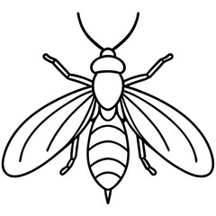 Elegant Firefly One-Line Vector Art