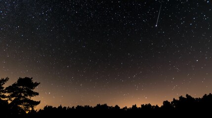 Naklejka premium Night sky with shooting star over a silhouetted forest landscape