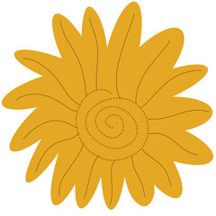 yellow flower isolated on white background