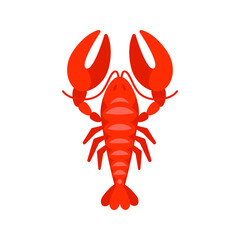Red lobster showing its claws on white background