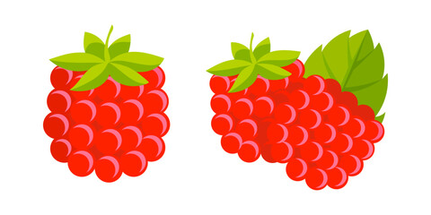 Two juicy raspberries symbolize the taste of summer and healthy lifestyle