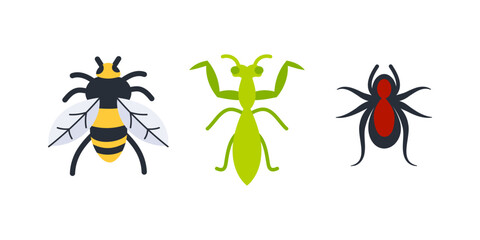 Bee, praying mantis and spider representing insects
