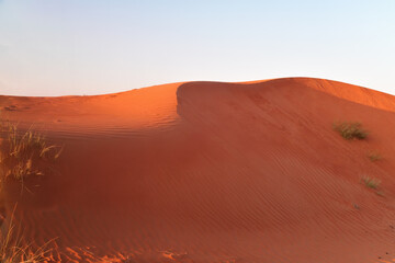 Dunes of Rub Al Khali desert. Wahiba Sands. Sultanate of Oman.