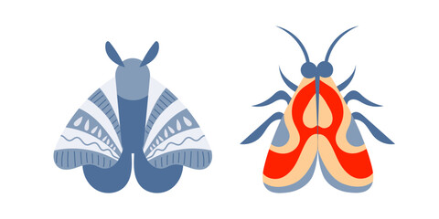 Two colorful moths showing their wings with decorative patterns