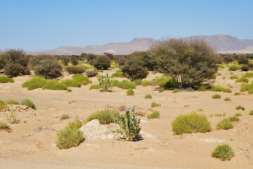 Oman scenery. Sultanate of Oman