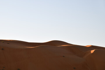 Dunes of Rub Al Khali desert. Wahiba Sands. Sultanate of Oman.
