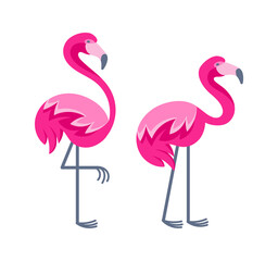 Two pink flamingos standing on one leg and showing their plumage