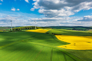 Obraz premium Aerial view of the Taunus landscape with blooming rapeseed fields