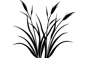 Grass Plant vector silhouette illustration isolated on white background