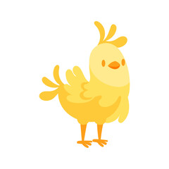 Cute yellow chick standing cartoon illustration