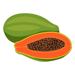 PNG vector image without background of Papaya or Pawpaw one of the fresh tropical fruits