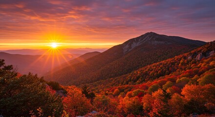 Whispering pines in a kaleidoscopic autumn panorama