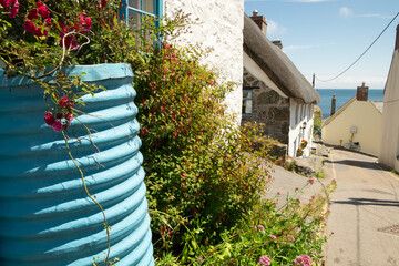 Blue metal water butt outside cottage "Corner House" with red roses in a lane leading to the sea in the village of Cadgwith, Cornwall, England