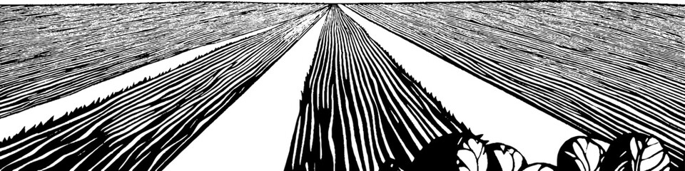 A stylized black and white illustration of a vast field with rows of crops extending into the horizon. The lines create a sense of depth and perspective, with a few plants visible in the foreground.