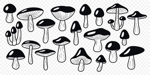 Wild Black and White Line Art Mushroom Vector Set. Flat Hand Drawn Forest Fungi Collection. Porcini, Bay Bolete, Birch Bolete, King Mushroom Icon Set. Cooking, Mycology, Botanical Illustration