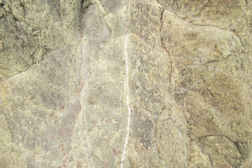Close up of rock with white veins
