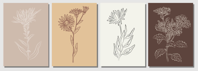Set of Aster, September birth month flower wall art, posters. Botanical line art vector illustrations on terracotta and beige backgrounds. Modern design for jewelry, tattoo, logo, packaging. © Creative_Juice_Art