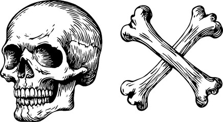 Fototapeta premium Illustration of Skull and Crossbones