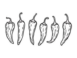 Habanero chili vector line art for hot peppers design