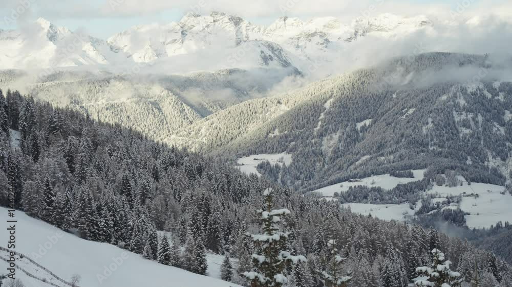 Poster the peaks of the alps glow softly, overlooking a sea of snow-draped trees and rolling terrain. paral