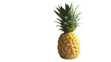 Fototapeta premium pineapple product banner