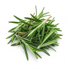 Fototapeta premium A bunch of fresh rosemary sprigs with green needle-like leaves, isolated on a white background.