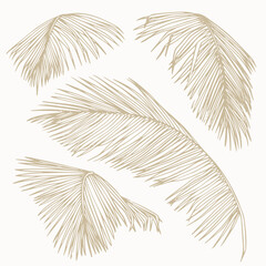 Set of hand-drawn palm leaves in line art. Minimalist tropical botanical vector perfect for prints, branding, packaging, and modern design projects.