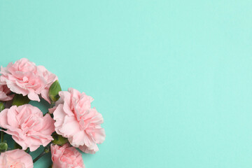 Beautiful bouquet of pink carnations on color background