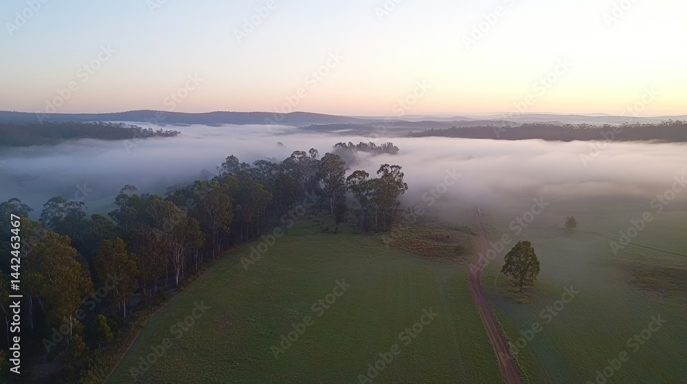Poster aerial landscape view of foggy forest and open fields at dawn