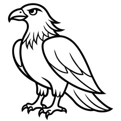 Bold Eagle Line Drawing Illustration