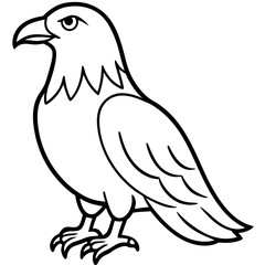 Bold Eagle Line Drawing Illustration