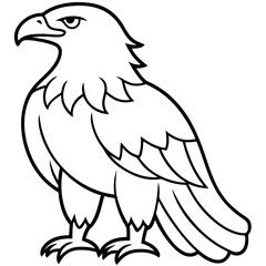 Obraz premium Bold Eagle Line Drawing Illustration