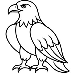 Bold Eagle Line Drawing Illustration
