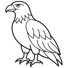 Obraz premium Bold Eagle Line Drawing Illustration