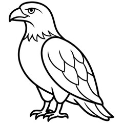Bold Eagle Line Drawing Illustration