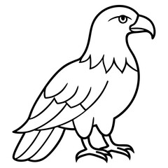 Bold Eagle Line Drawing Illustration