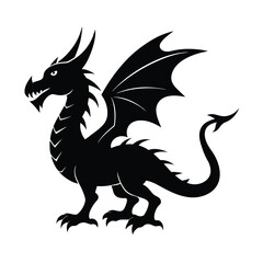 Fototapeta premium Adobe Illustrator Artwork