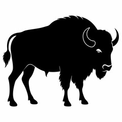 Buffalo Silhouette Vector File