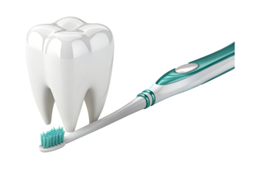 Tooth and toothbrush with transparent background for dental care