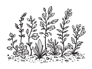 line art of green manure plants for sustainable farming