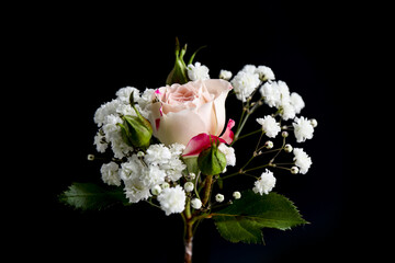 Bouquet with beautiful gypsophila and rose on black background