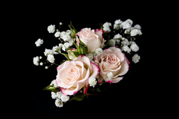Woman holding bouquet with beautiful gypsophila and roses on black background, closeup