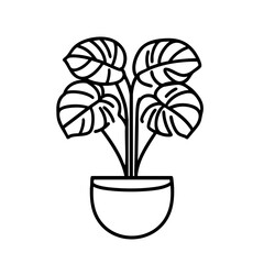 Line drawing of a potted plant with large, wide leaves featuring distinct vein details