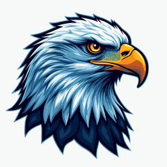 Fierce Bald Eagle Head Illustration