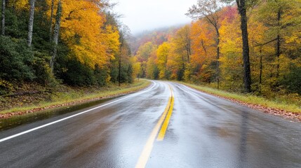 Fototapeta premium Autumn Road Through a Mountain Forest