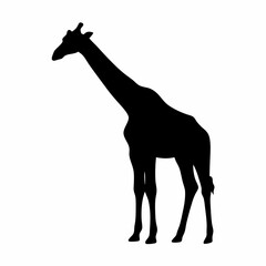 Giraffe Silhouette Minimalist Black and White Vector of Elegant African Wildlife