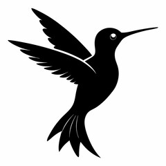 Clean Hummingbird Silhouette Illustration