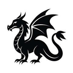 Fototapeta premium Adobe Illustrator Artwork