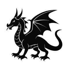 Fototapeta premium Adobe Illustrator Artwork