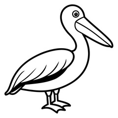 Clean Pelican Outline Artwork